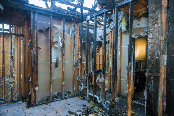 Professional Fire Damage Removal technician working in Apalachin, NY